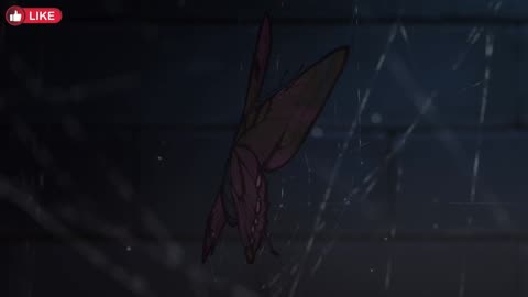 [ENG SUB] All Devouring Whale eps 1 - 2