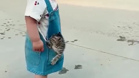 cute baby with cats funny