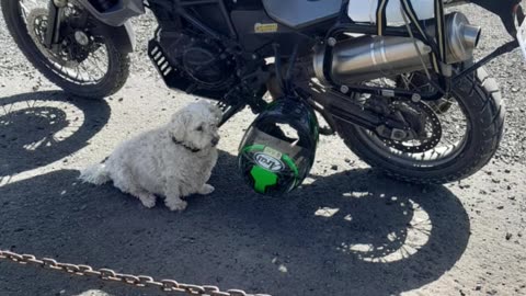 a day on the road #kzn #jonty #bikerdog
