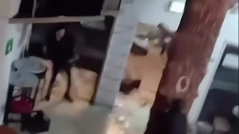 PELEA DISCOTECA MAJESTIC CTG