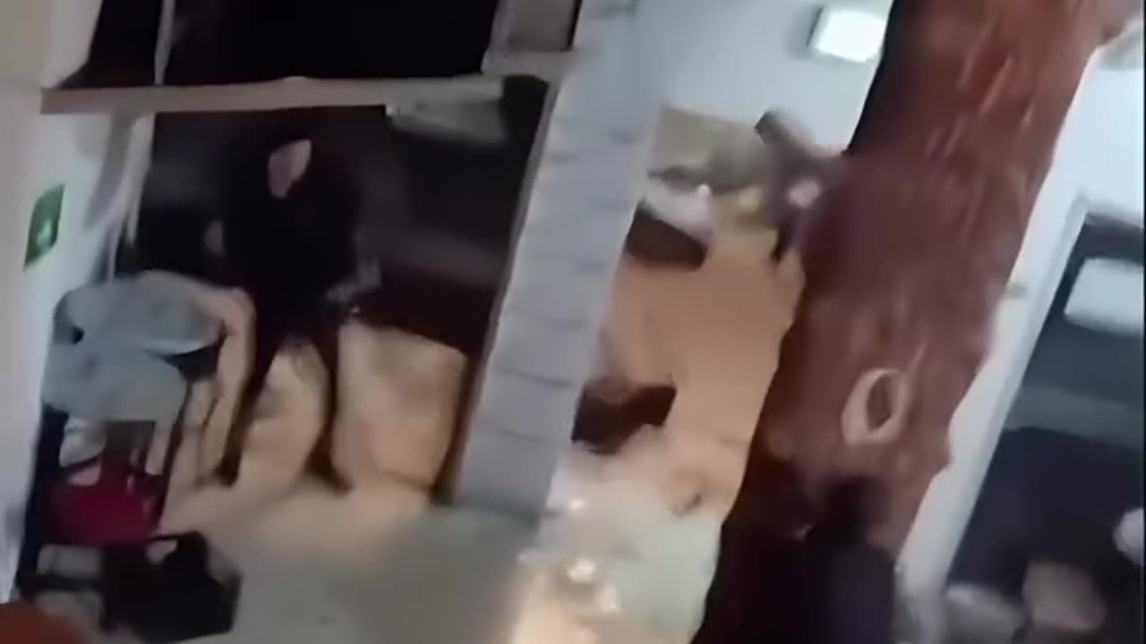 PELEA DISCOTECA MAJESTIC CTG