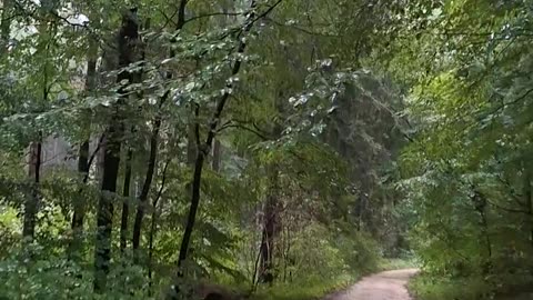 What is (and/or should be) the left and why it matters?