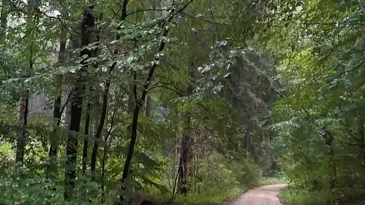 What is (and/or should be) the left and why it matters?