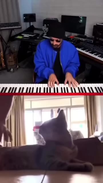 Meow cat sings along