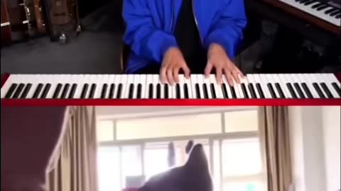 Meow cat sings along