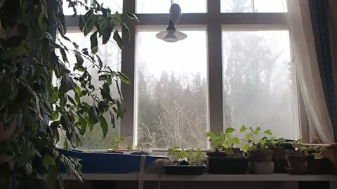 Mistä päättäjät voisi säästää ja parantaen suomea samalla?