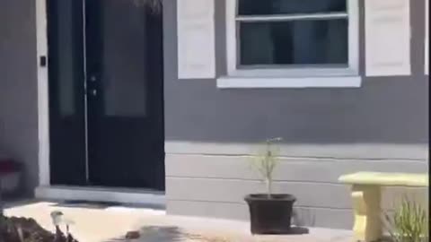 Pregnant girlfriend catches her boyfriend at the home of a pant-less man he claims is his “Xbox friend”