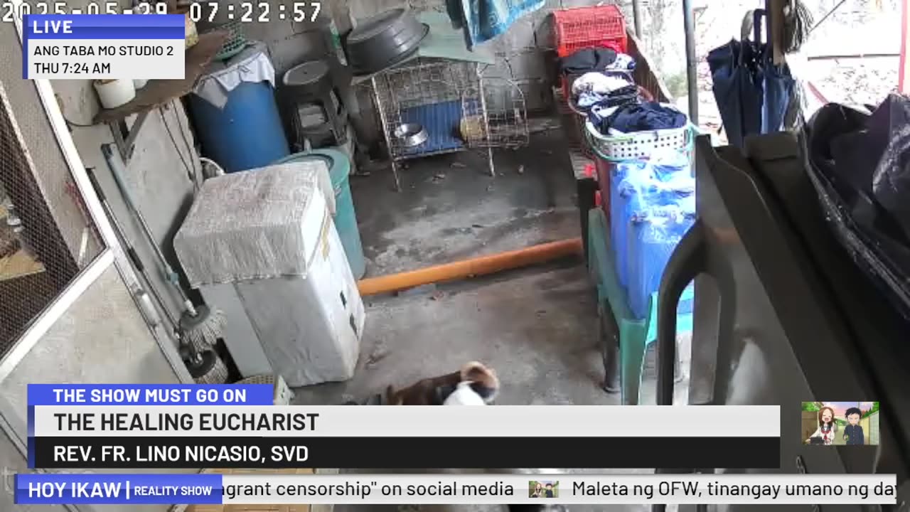 Mitsubishi Xpander 2019 Live