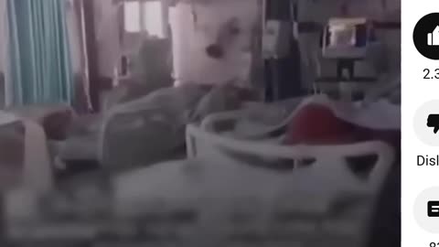 PALESTINE