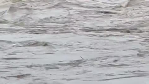BREAKING: Death toll from catastrophic Texas flooding rises to 78, including 68 in Kerr County.