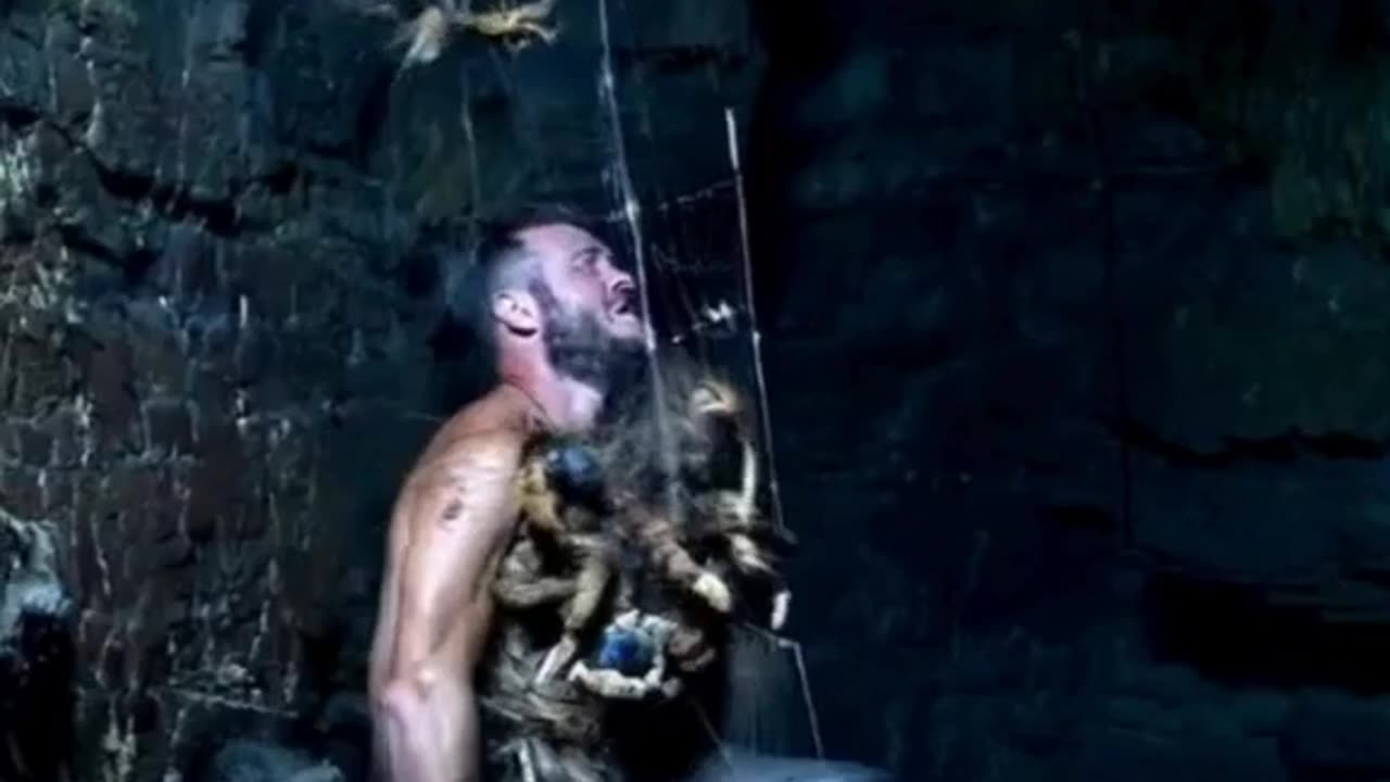 Imagine being caught in a giant spider web... Here’s what that would look like! 🕸️😱 #NightmareFuel
