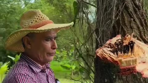 Guarda tu Corazon.