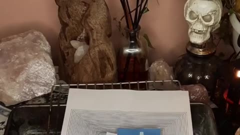 Tim Rifat TikTok Videos