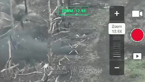 (Insane)Russian Squad Trying to Move into Forested Area Outside Pokrovsk is Wiped Out