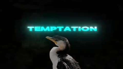 🙏✨ Today's Prayer for Blessings & Grace | Seek God's Favor & Divine Guidance | InGodWeTrustDaily