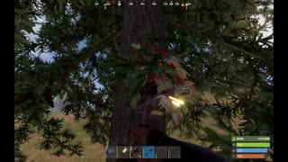 Rust PVE