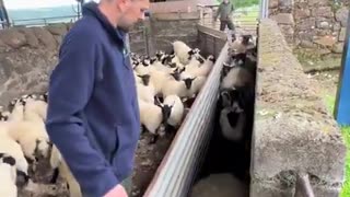 Farming demands both passion and dedication!