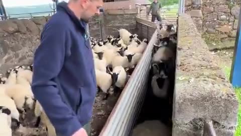 Farming demands both passion and dedication!