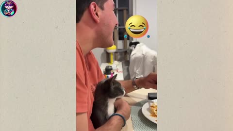 funny animal videos