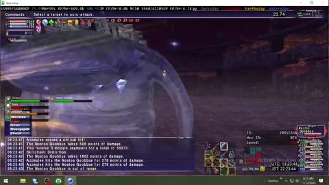 Playing Final Fantasy XI Online