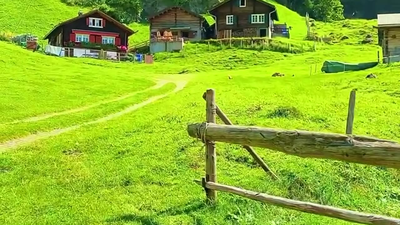 The Peaceful Breath of Nature