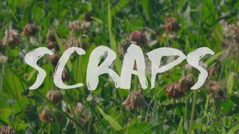 SCRAPS short film promo