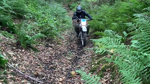 Green laning at ORPA near Llandewi Velfrey Pembrokeshire