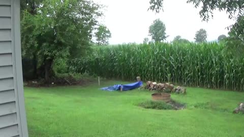 JTY Vlogs #5 (getting some water and mulch)