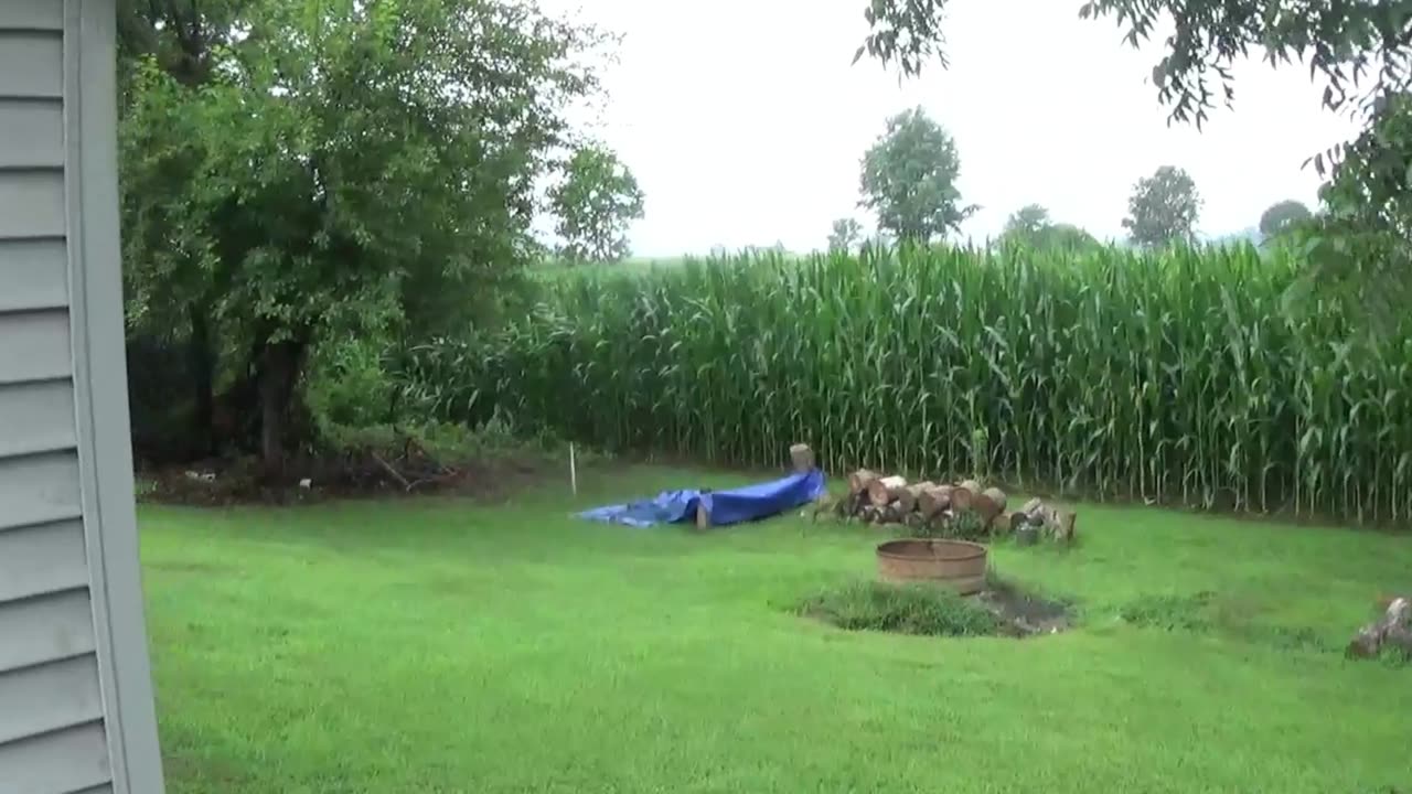 JTY Vlogs #5 (getting some water and mulch)