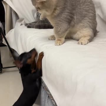 📹 Trending Chinese Viral Videos | Funny, Emotional & Shocking Moments