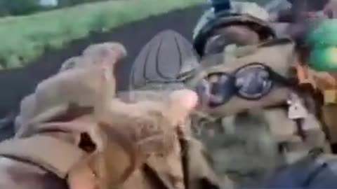 🏍️⚠️ Ukraine Russia War | Russian Motorcyclist Collides with Friendly Vehicle En Route to Fro… | RCF
