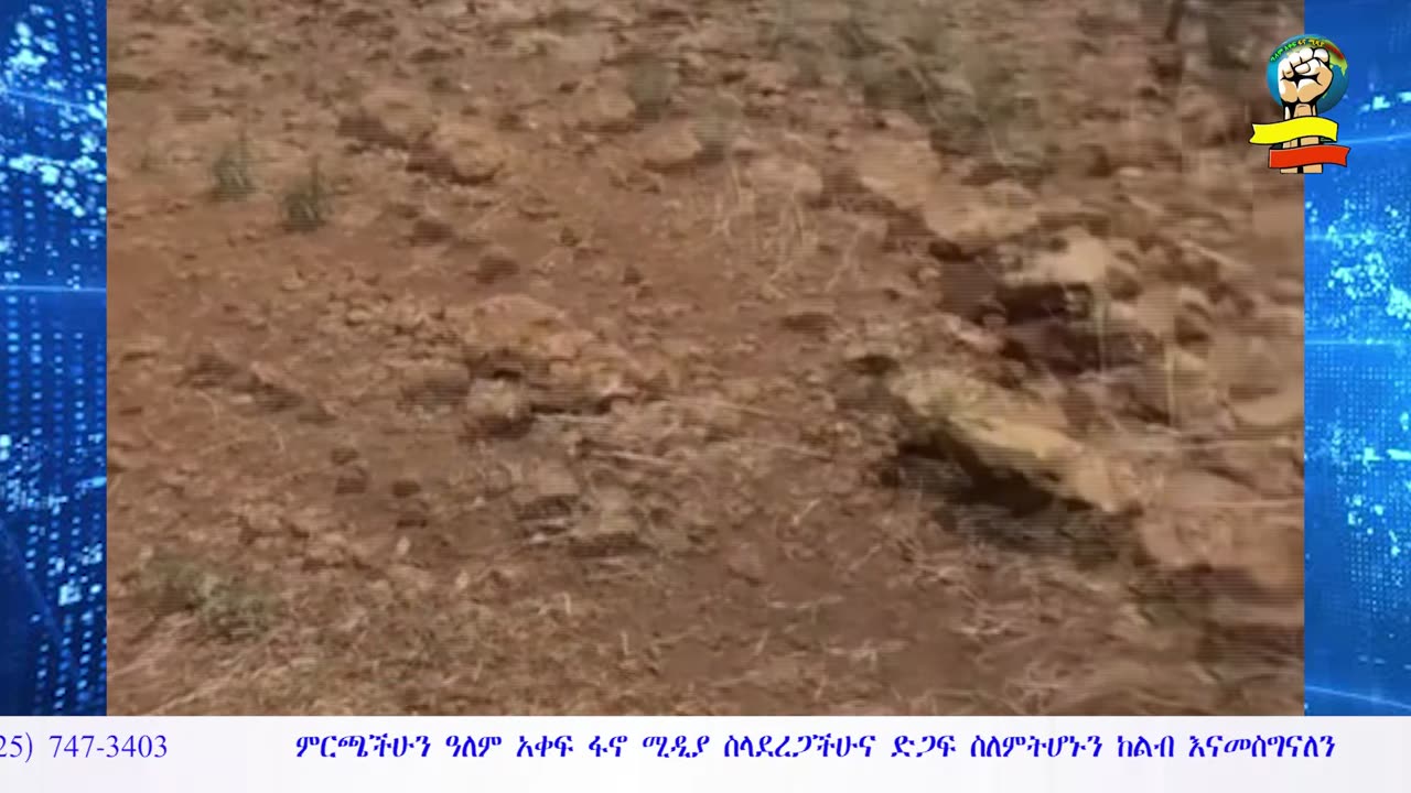 ሰበር መረጃ - እየገቡ ነው | በጎንደር የሳምንቱ ድል - ቋራ የጠላት መቀበሪያ | በቆራጡና በጀሌዎቹ የተወሰደ እርምጃ