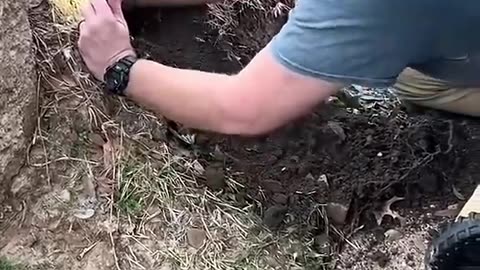 Rescue - Cat got stuck in a drain pipe