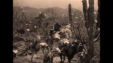 Badges we don’t need no stinking badges…