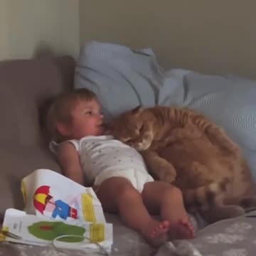 Little buddies hanging out