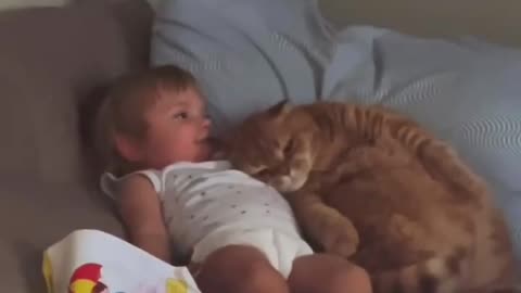 Little buddies hanging out