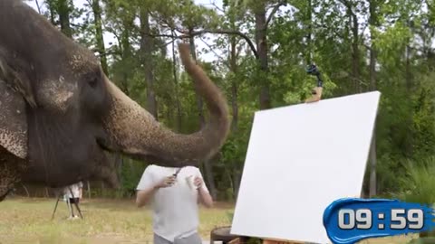 Mr Beast - Cheeta race with Formula - 1