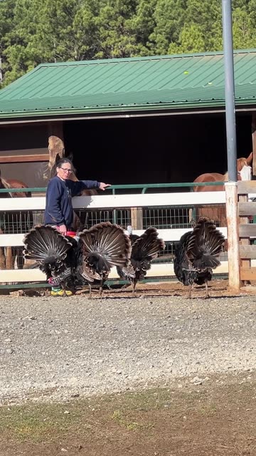 Allan gonna do what Allan want to do!!