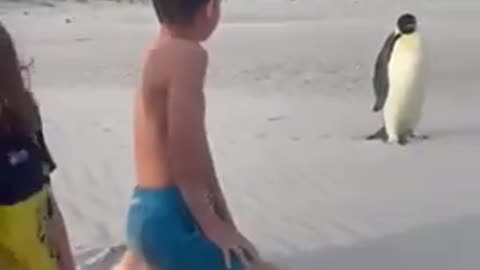 Bro took a wrong turn in Antarctica so he ended up in Australia
