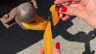 Secure it with this easy knot hack.hd