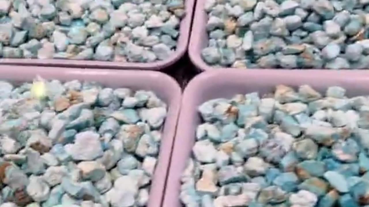 250418-8 The natural raw - ore turquoise rough material has uniform colors