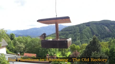 Old Rectory in Austria
