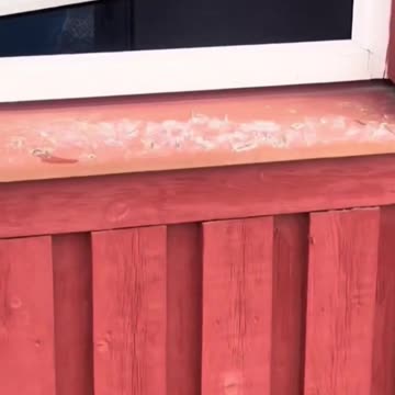 In Sweden some mosques have been attacked.