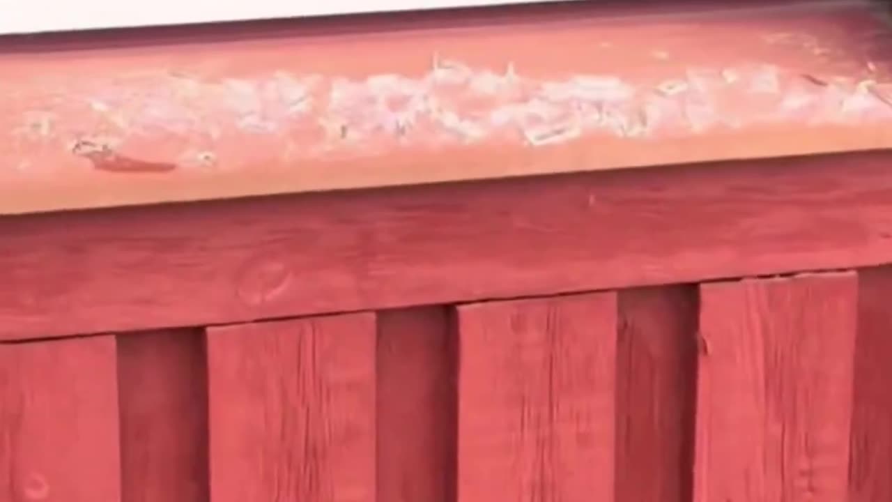 In Sweden some mosques have been attacked.