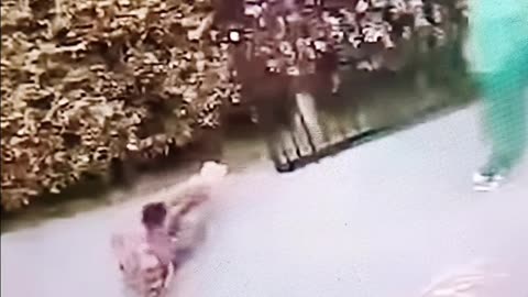 Gardner assaulted in random attack