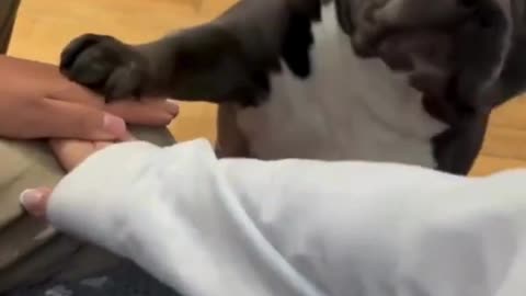 I Got You, Fam" ❤️ | When Your Dog Understands Everything 🐶