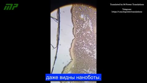 Кровь человека, вакцинированного двумя дозами Pfizer.3 ч
