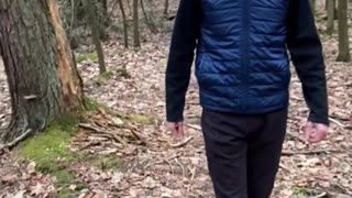 A WALK TO CLEAR YOUR HEAD