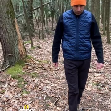 A WALK TO CLEAR YOUR HEAD