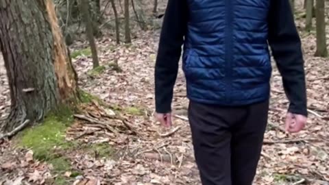 A WALK TO CLEAR YOUR HEAD